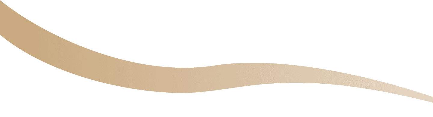 Vector 7 (1)